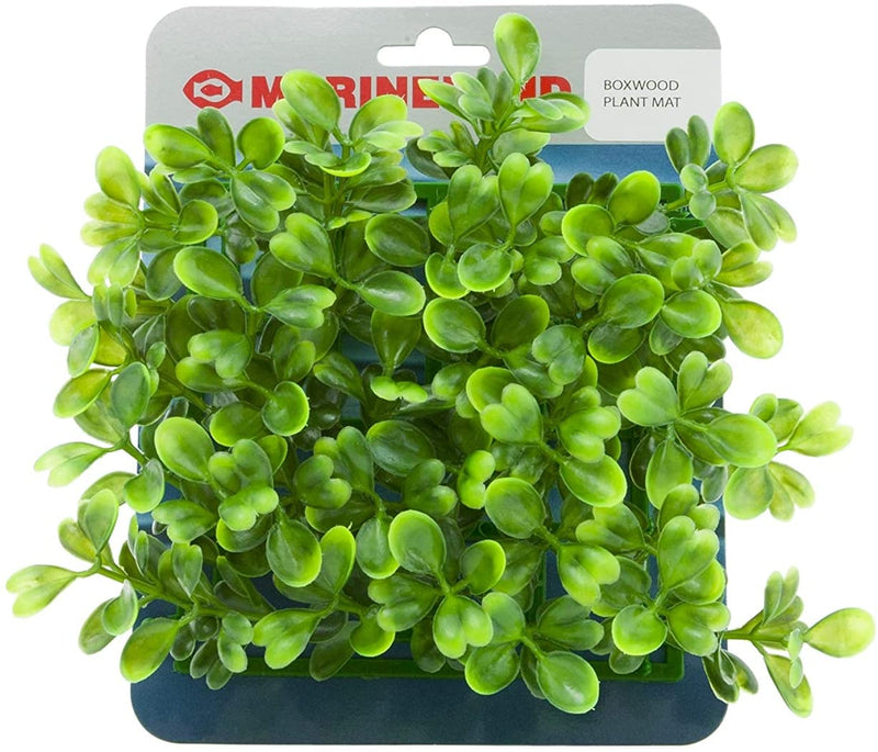 plastic plant mat Marineland 5.25'' by 5.25'' Plastic Boxwood Plant Mat for Aquariums & Terrariums