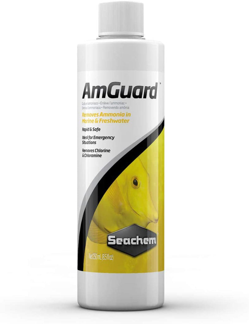 Seachem AmGuard Detoxifies Aquarium Water Used in Salt & Fresh Water - 250 ML