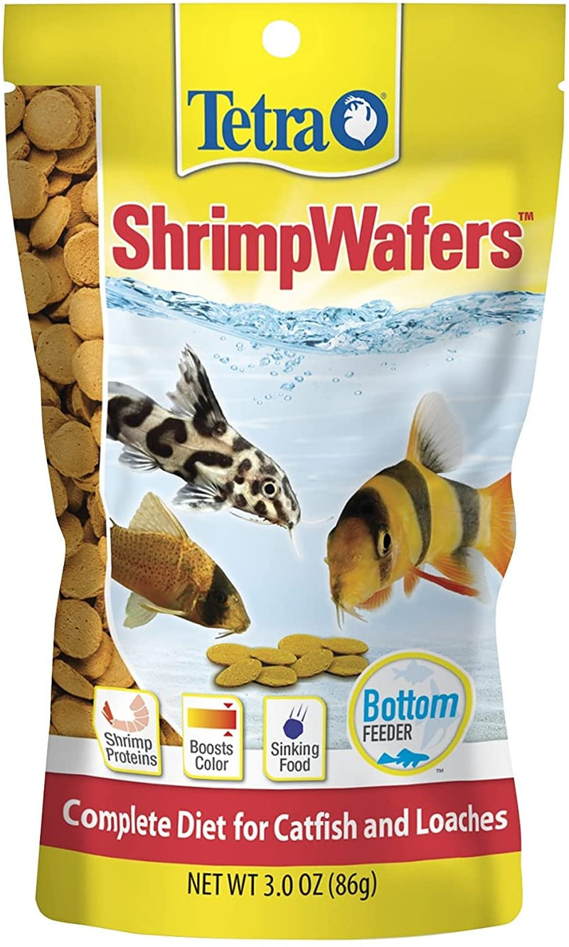 Tetra ShrimpWafers Food For Catfish & Loaches in Aquariums & Tanks - 3  OZ