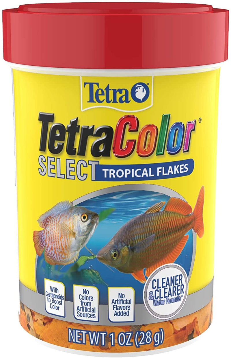 Tetra TetraColor Tropical Flakes Color Boost Food For Aquariums & Fish Tanks - 1 OZ